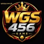 WGS456 Game
