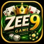 Zee9 Game